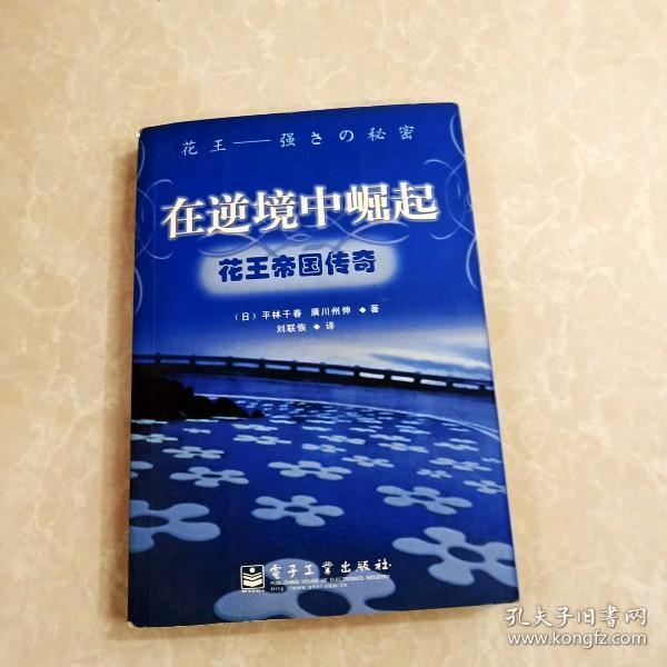 hi2026291 在逆境中崛起——花王帝国传奇