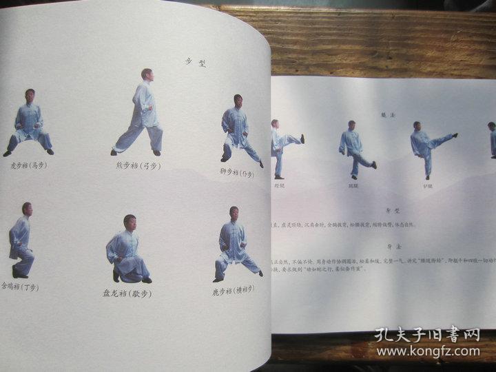 武当太乙五行拳 一书两碟