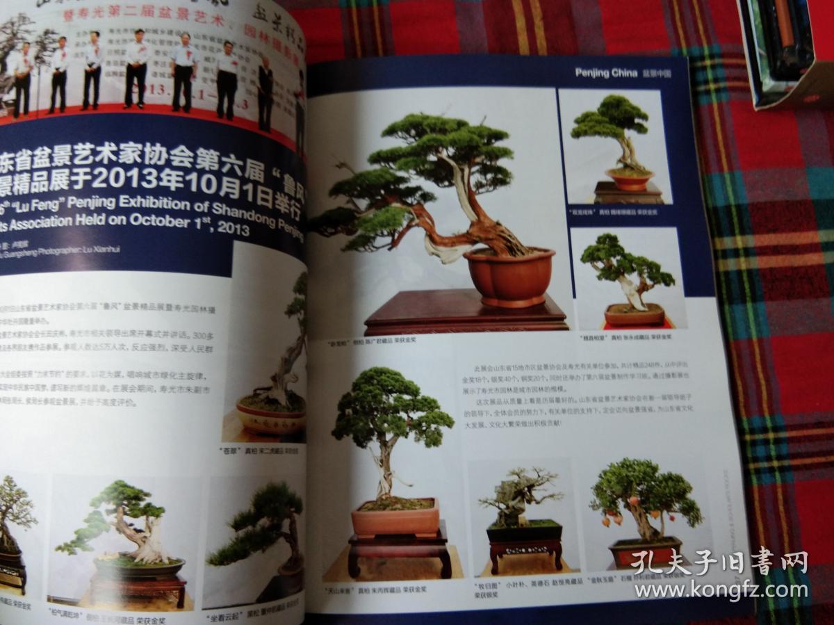中国盆景赏石