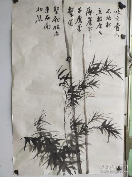 约九十年代 无款画稿 竹子 有题拔 没落款 尺寸68x45