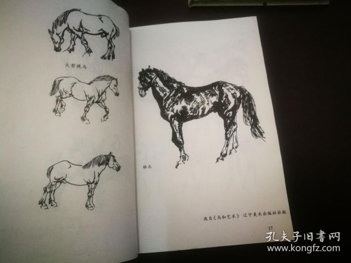 画马技法图谱