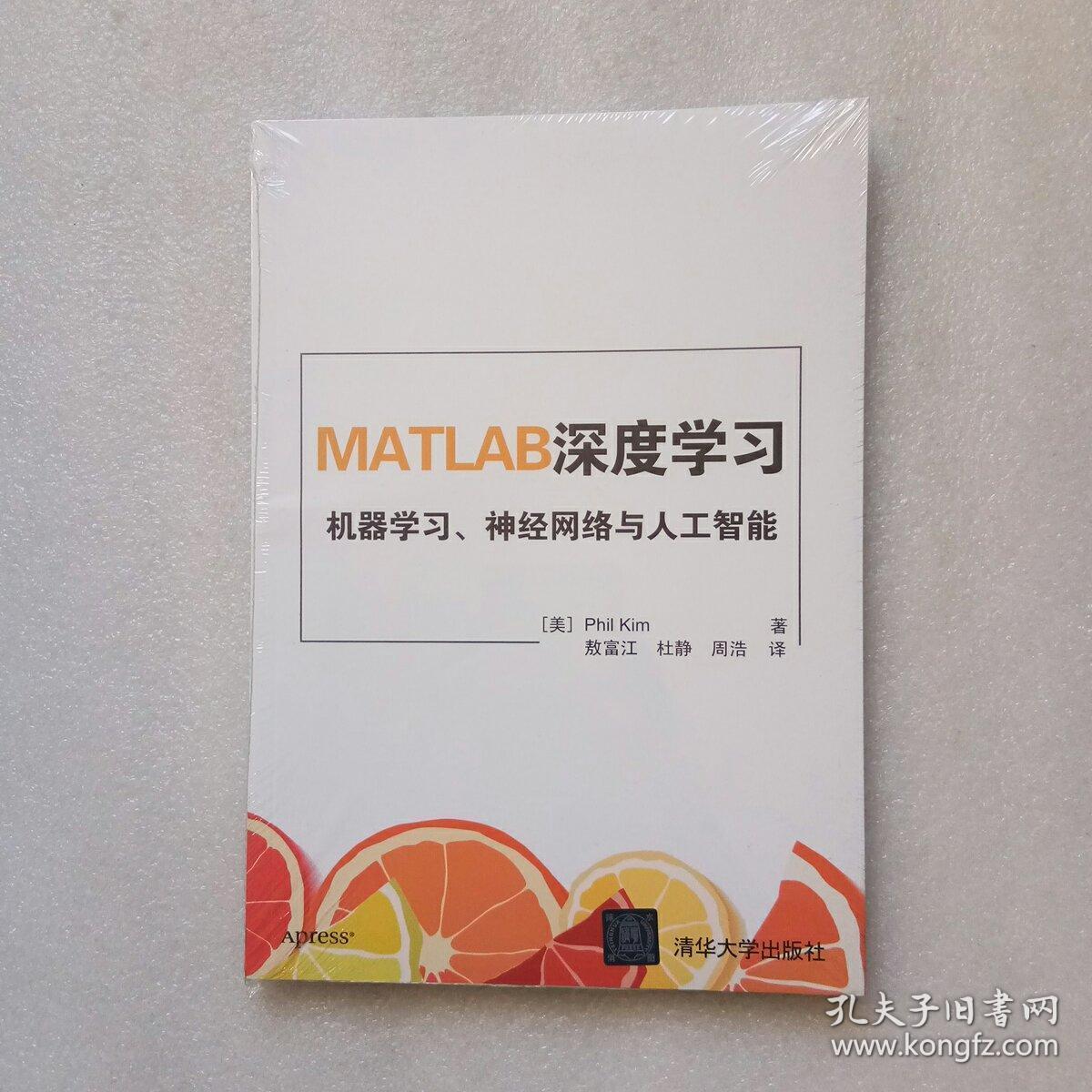 MATLAB深度学习 机器学习、神经网络与人工