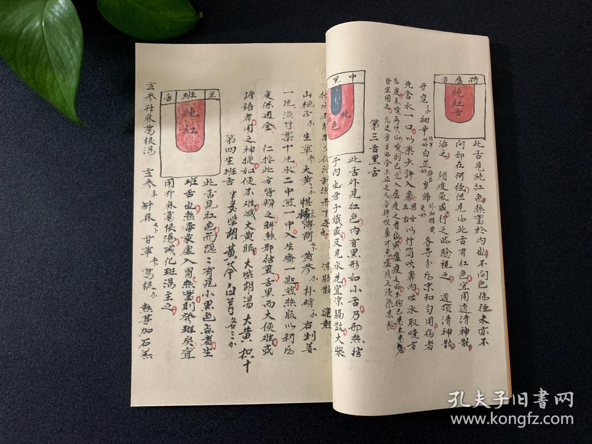 面诊舌诊秘方 此书原版为清代彩绘手抄本 国学中医药方珍贵秘方 可