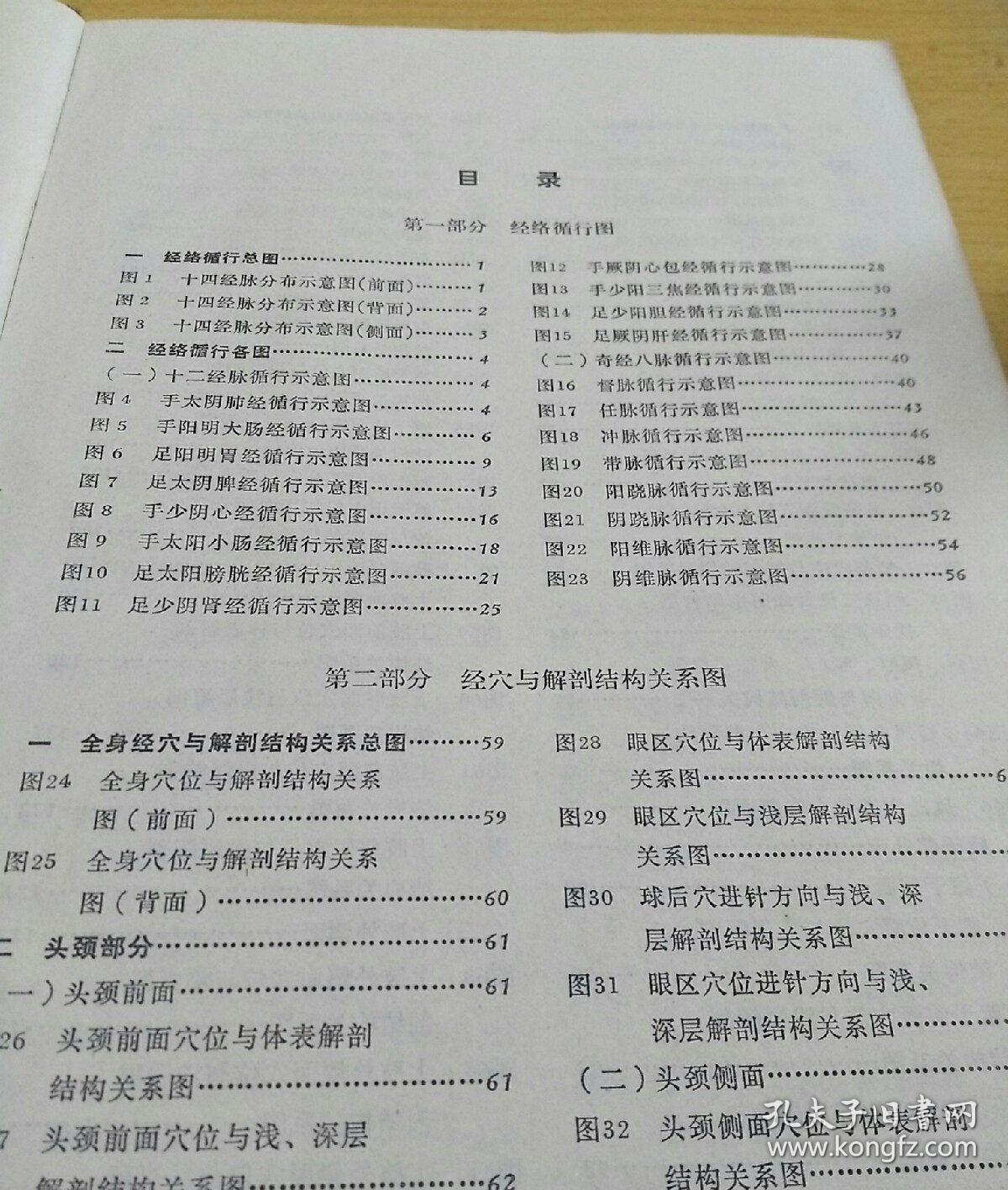 针灸穴位解剖图谱