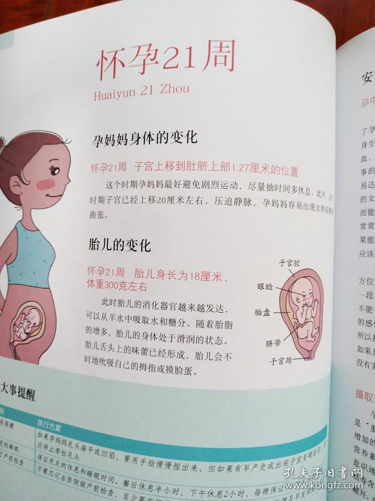 40周怀孕全程指导