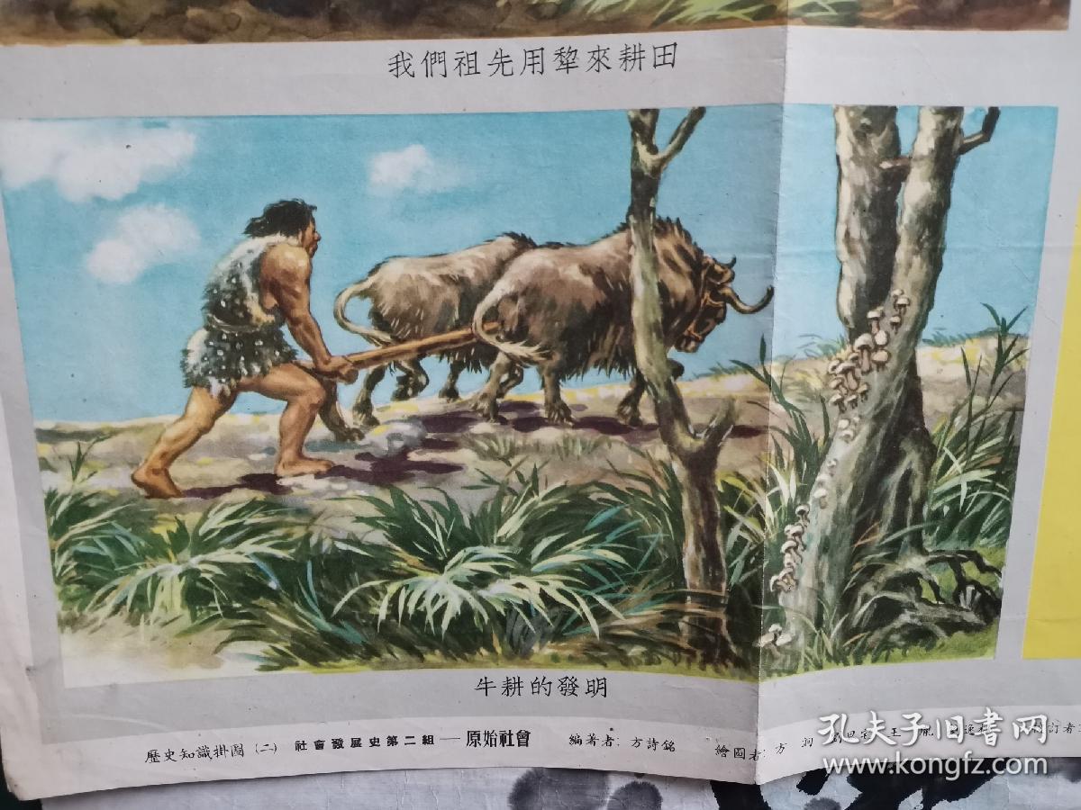 历史知识挂图(二)社会发展史第二组 原始社会(五)从采集到农业