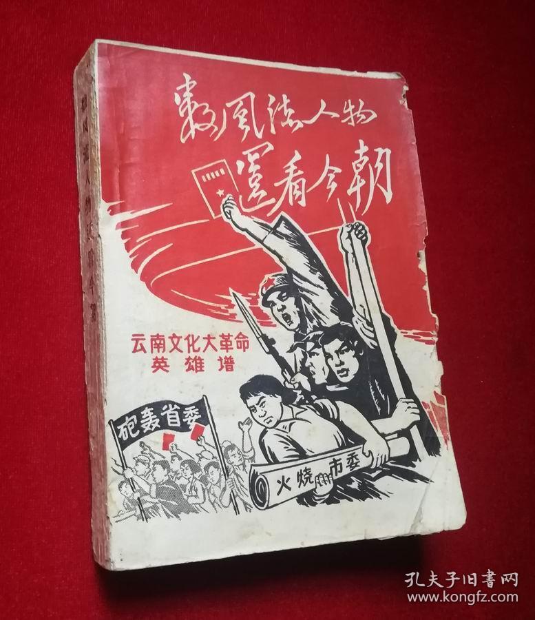 数风流人物还看今朝【云南文化大革命英雄谱】文革色彩浓厚,品见图