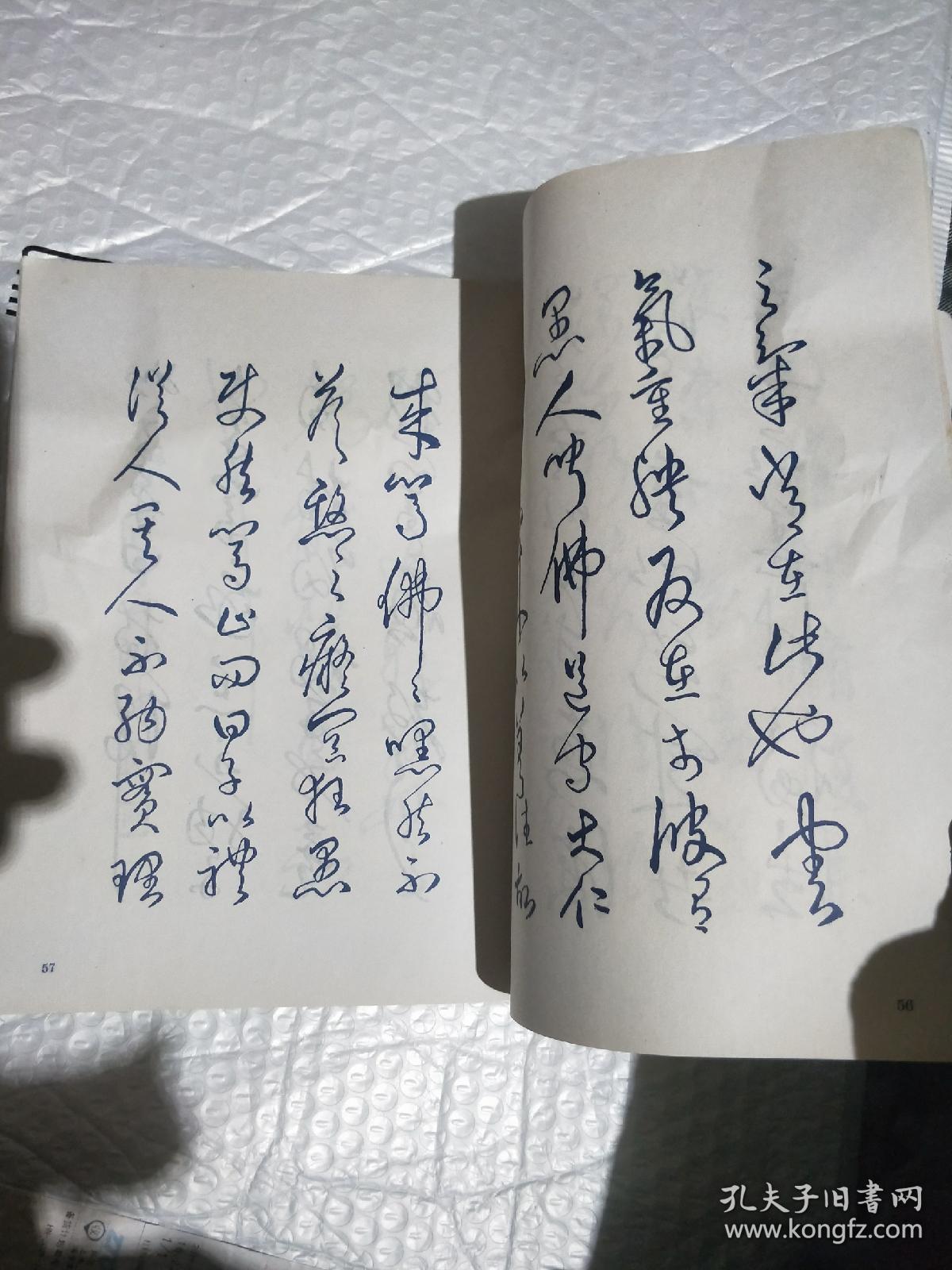 邓散木白蕉钢笔字帖