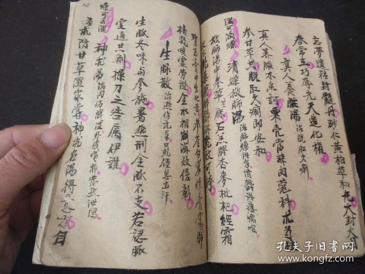 经典医学手抄――药方大全