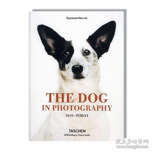 原版thedoginphotography1839today照片中的狗狗1839现在庆祝人类最好