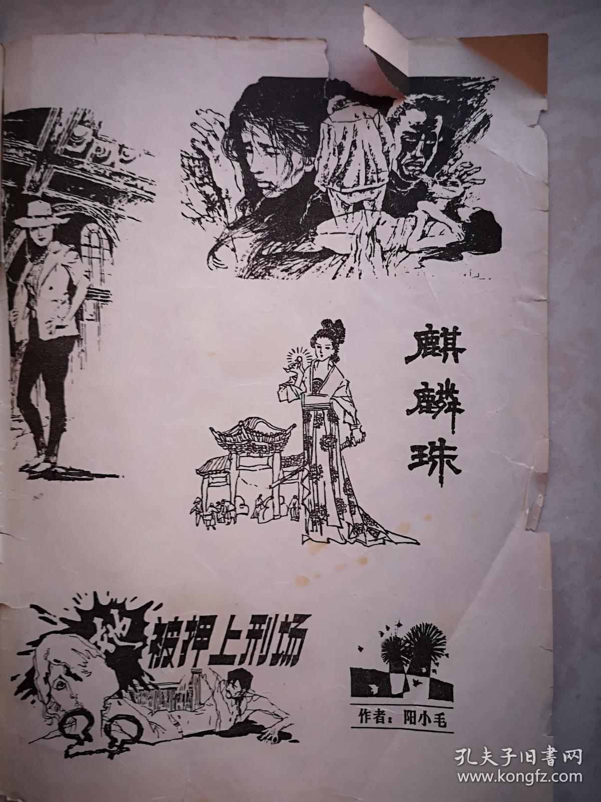 红颜劫难》慕容一亚《女警察与男逃犯》魏奇《麒麟珠》朱超高兆林