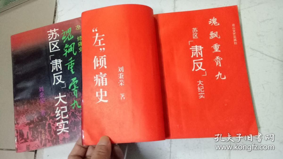 魂飘重霄九:苏区"肃反"大纪实