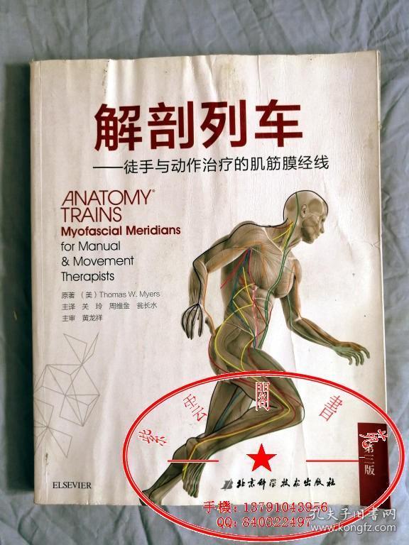 解剖列车:徒手与动作治疗的肌筋膜经线(第三版)