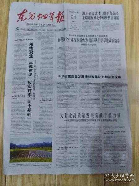 东方烟草报2019年