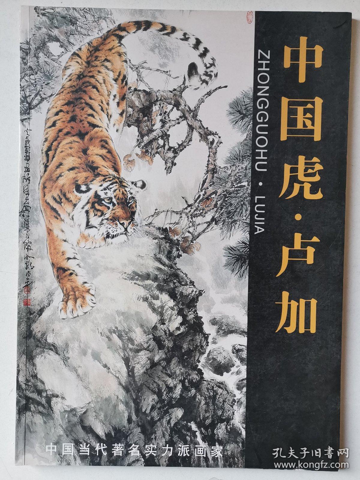 卢加(中国当代著名实力派画家)