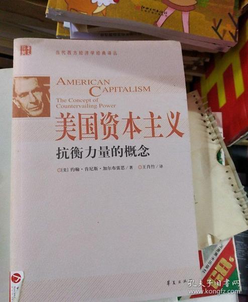 美国资本主义:抗衡力量的概念