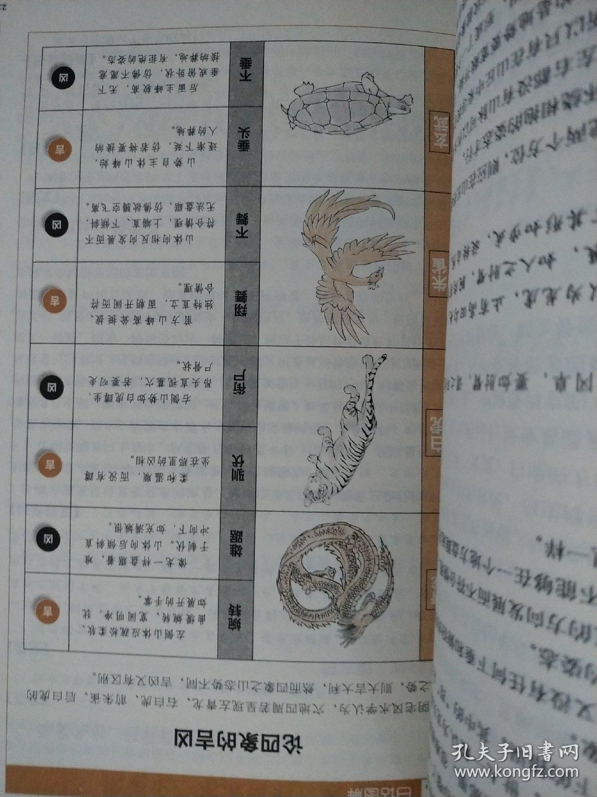 图解葬书:助你振兴家业的阴宅风水经典(保正版,双色印刷)