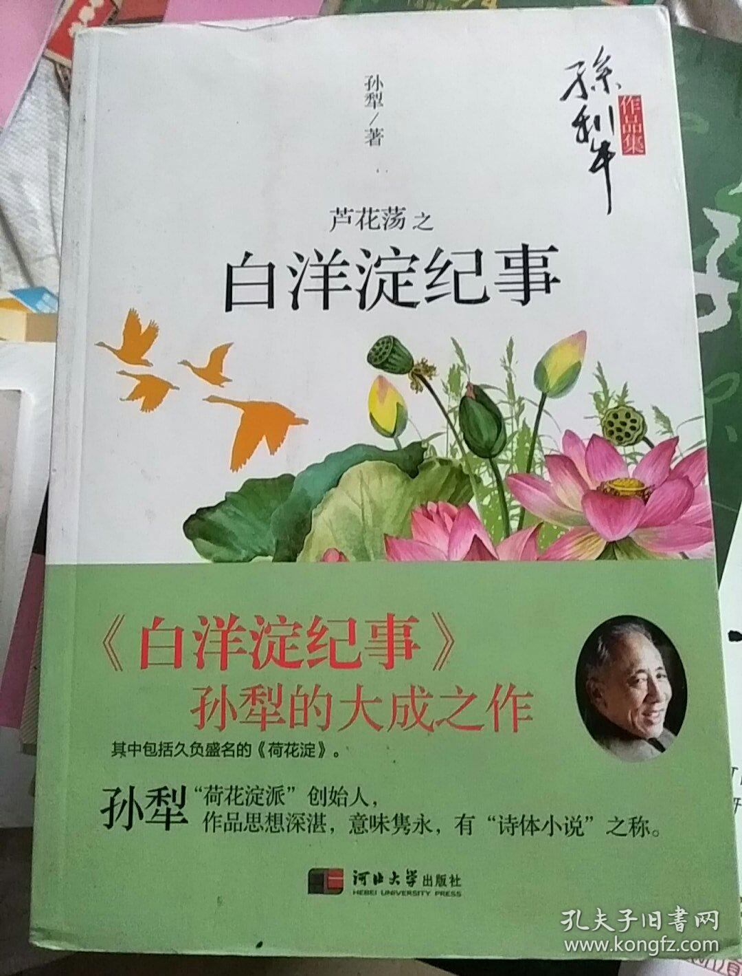 芦花荡之白洋淀纪事