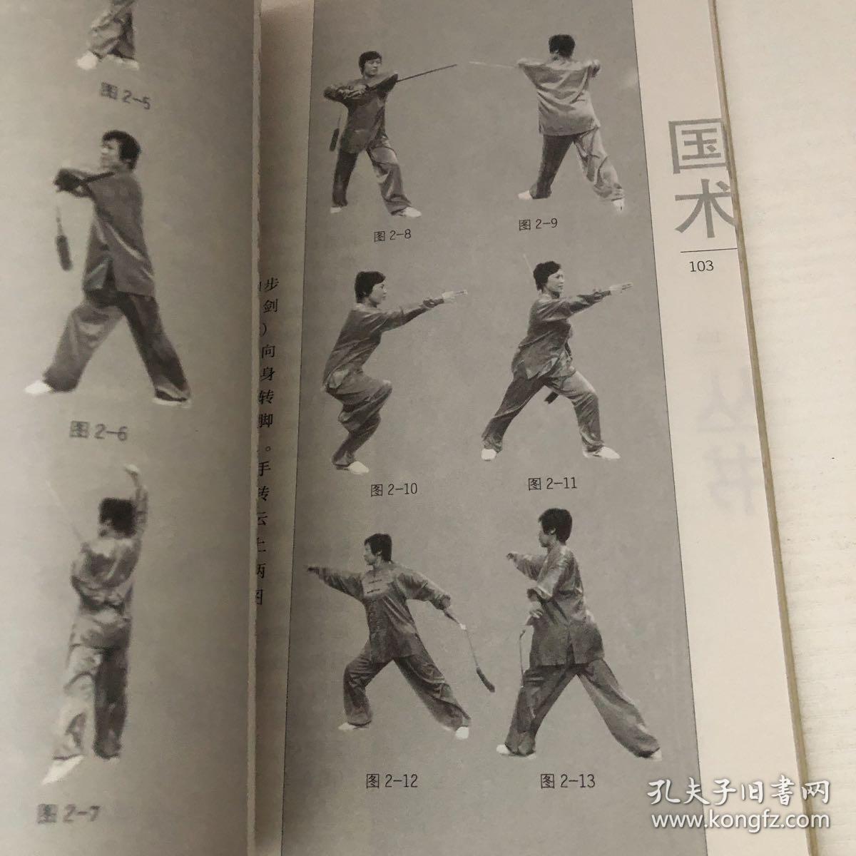 国术丛书(第11辑):大悲拳