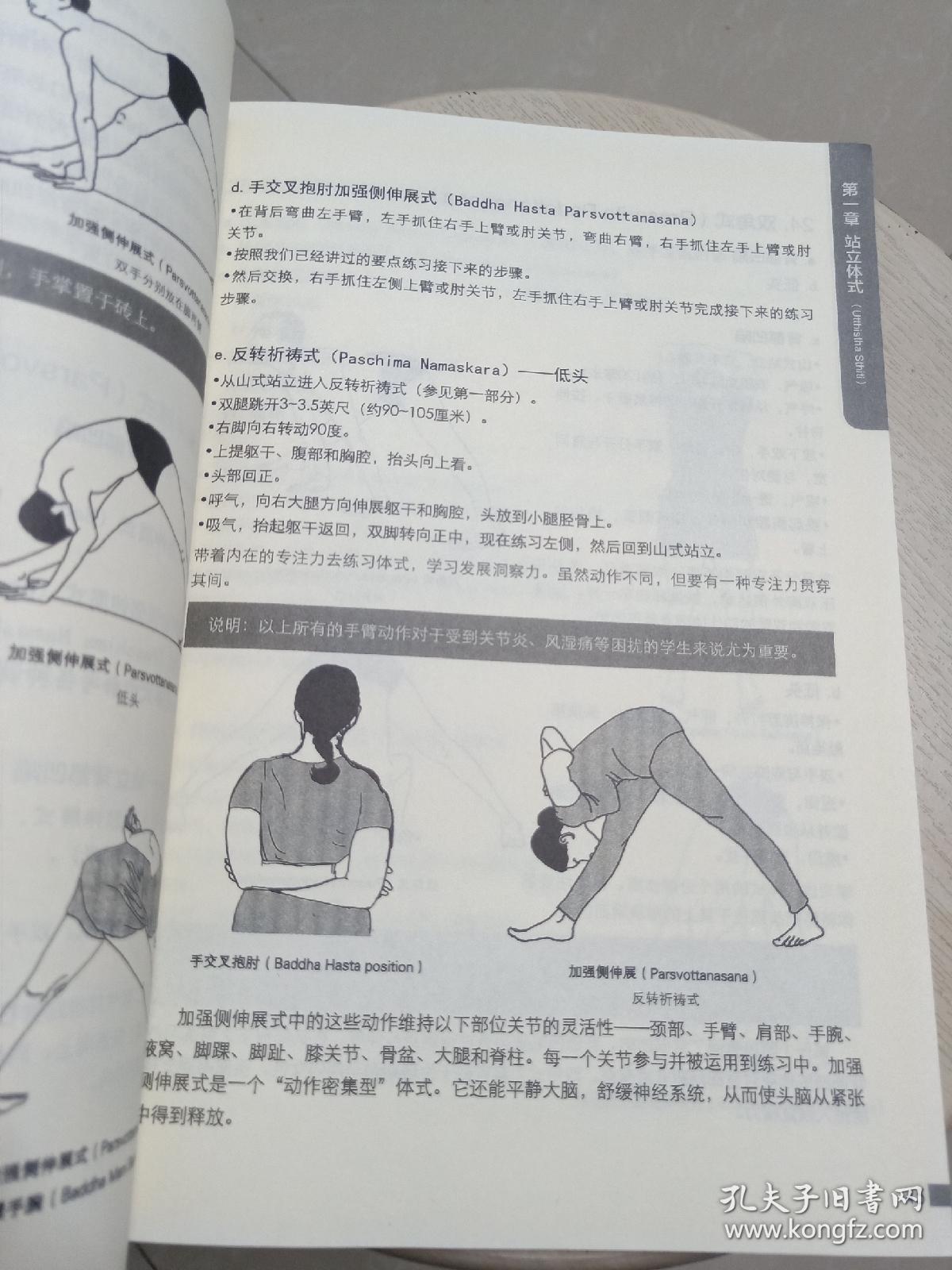 艾扬格瑜伽入门教程