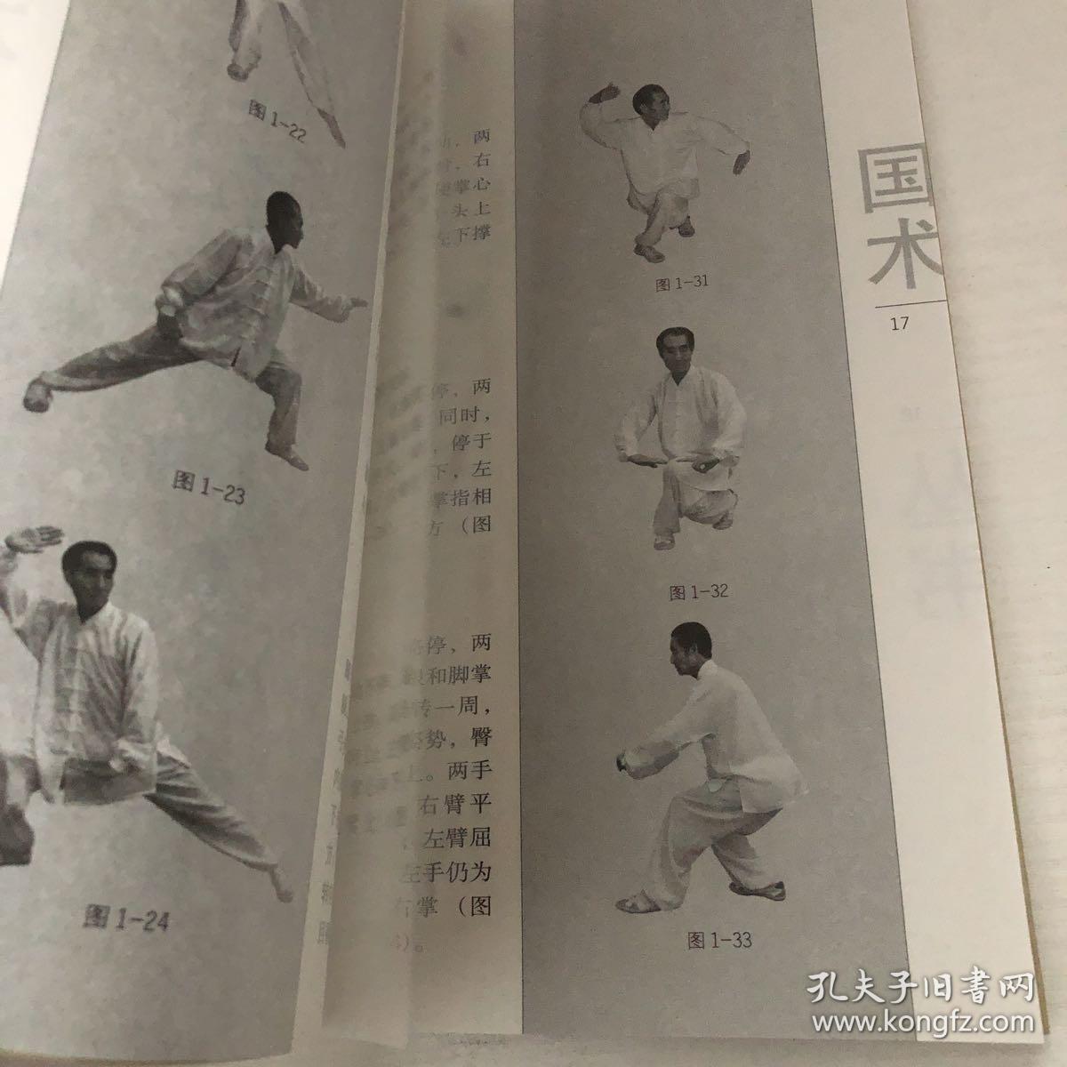 国术丛书(第11辑):大悲拳