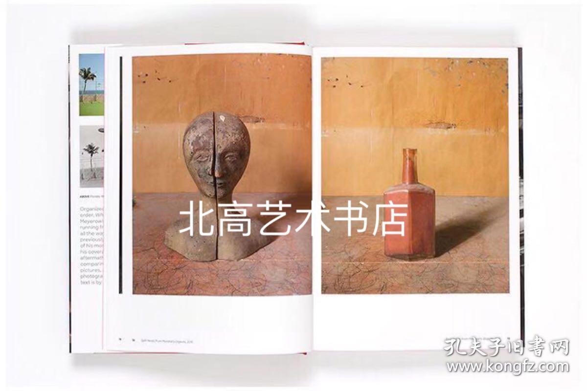 where i find myself 乔尔·迈耶罗维茨:如果我发现自己 摄影作品合集