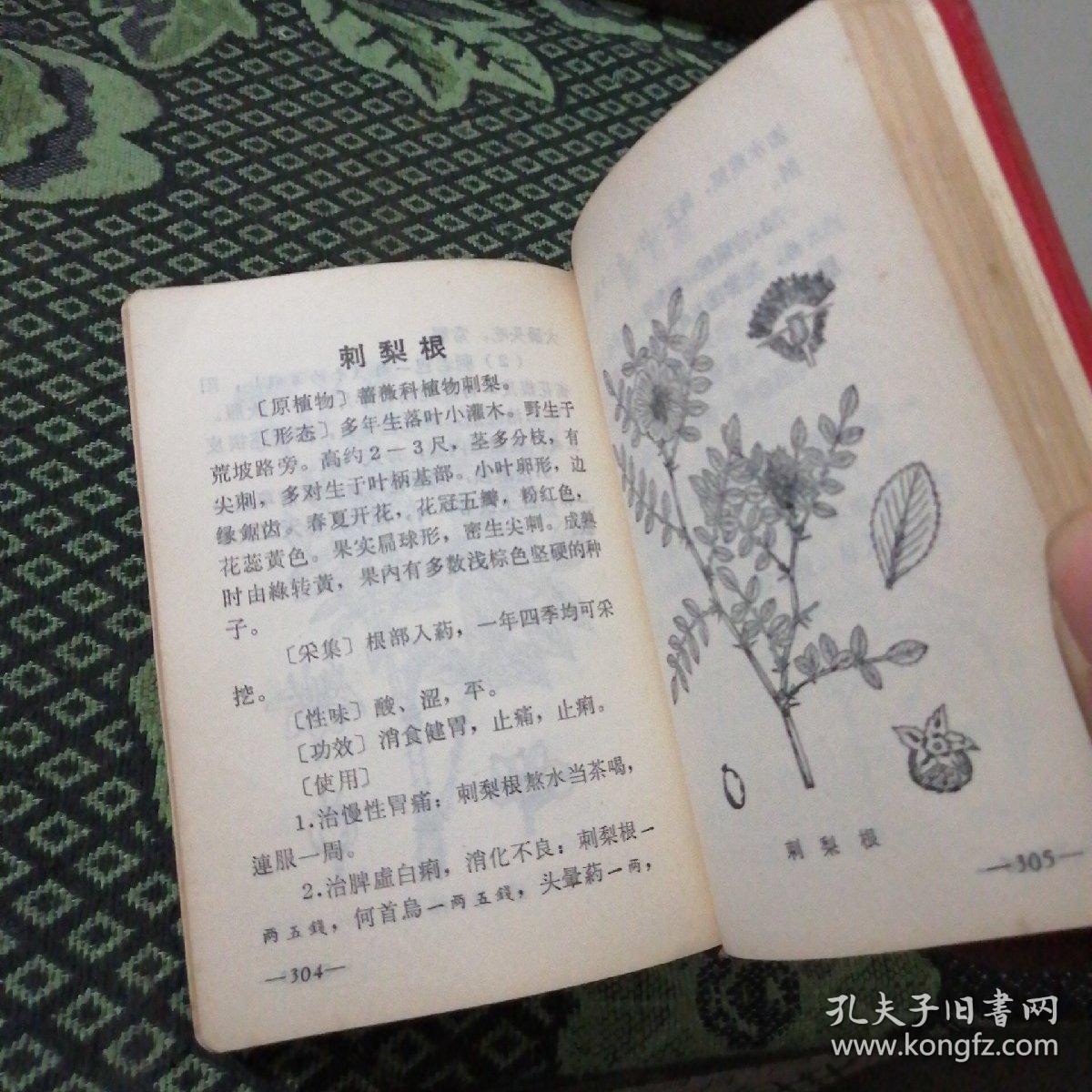 常用民间草药手册 贵州版(红塑封面64开软精装)