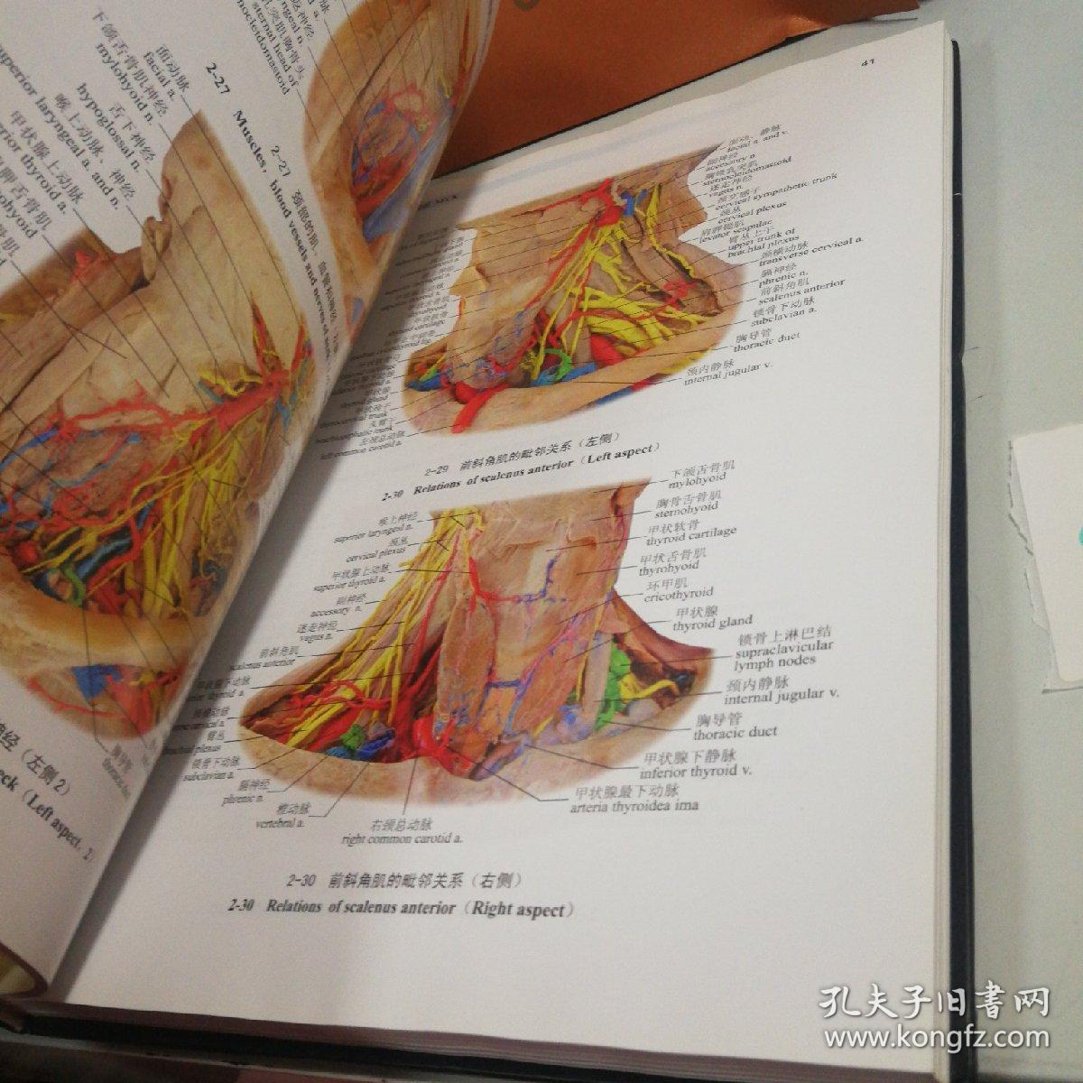 人体局部解剖学实物图谱(精)4号