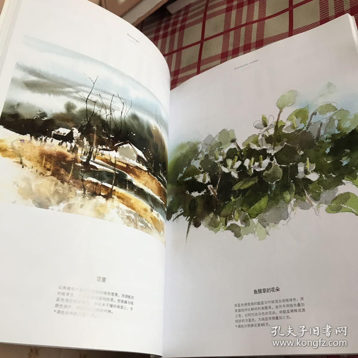 让水彩画达到极致的调色技法:日本绘画大师铃木辉实的