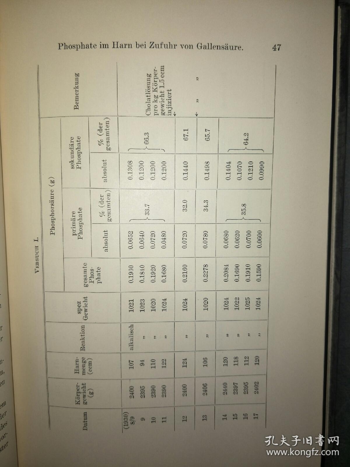 Bio简谱_儿歌简谱(3)