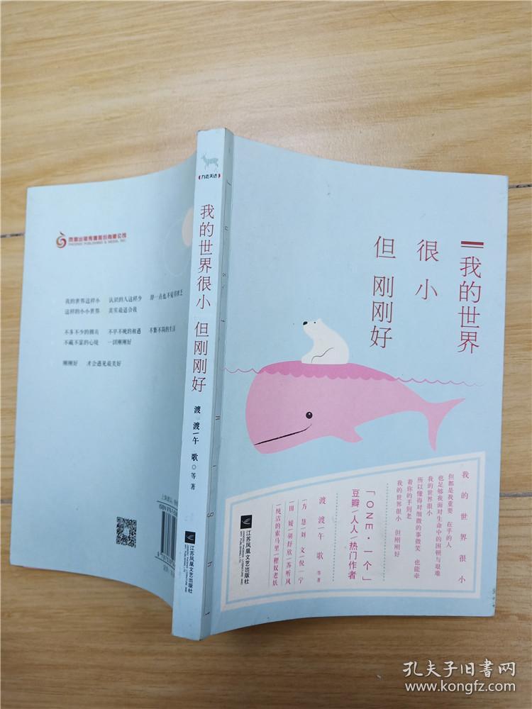我的世界很小但刚刚好