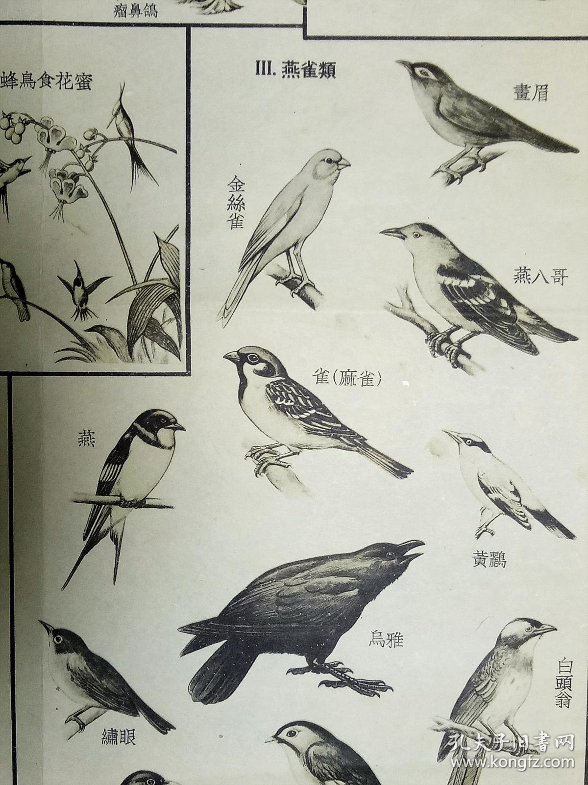 鸠鹤从什么成语_成语故事简笔画(3)