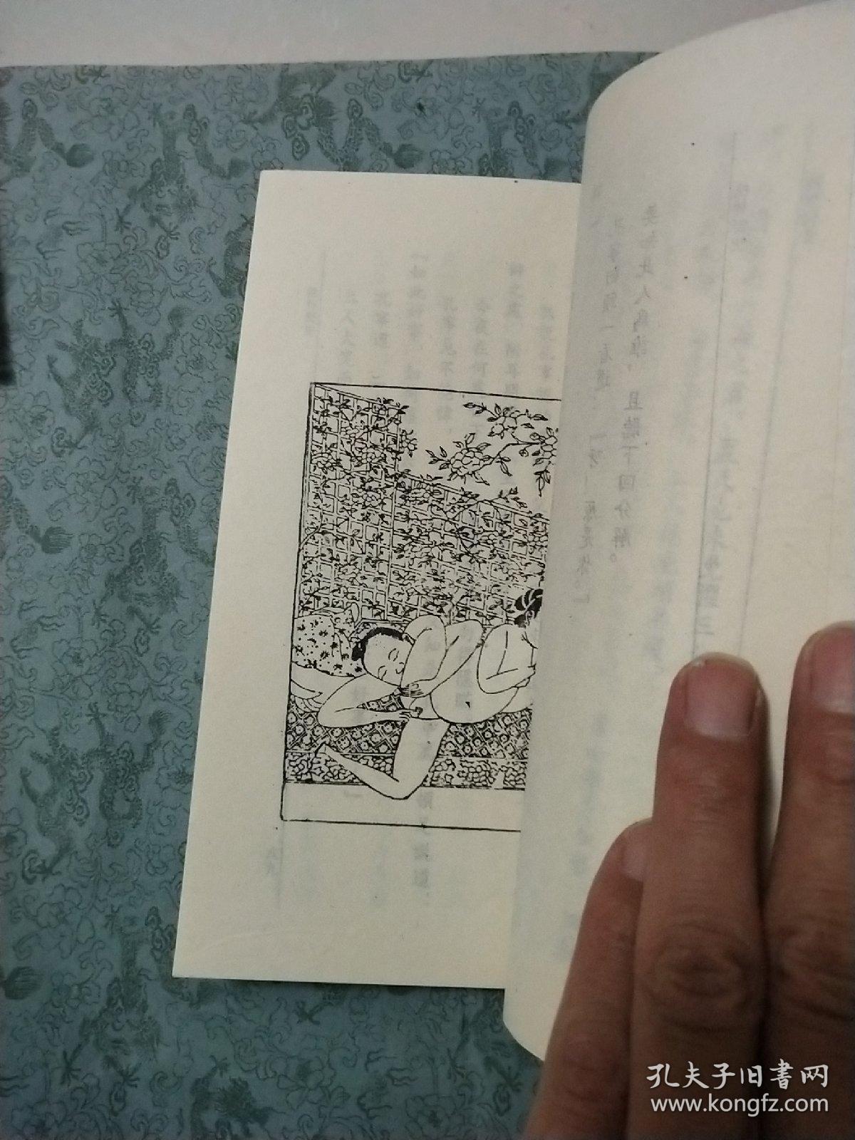 足本未删减 株林野史 全一册 内附花营锦阵 黑白春 宫