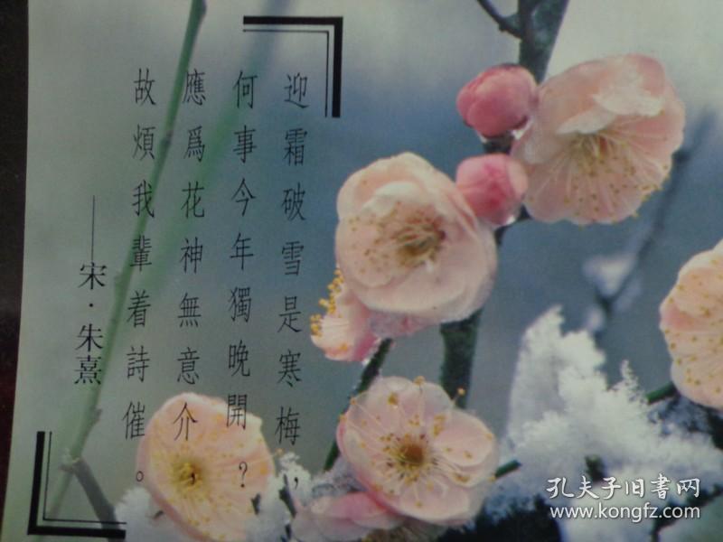 查看源网页