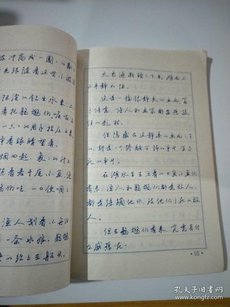 任平钢笔书法(全国钢笔书法名家专辑二)