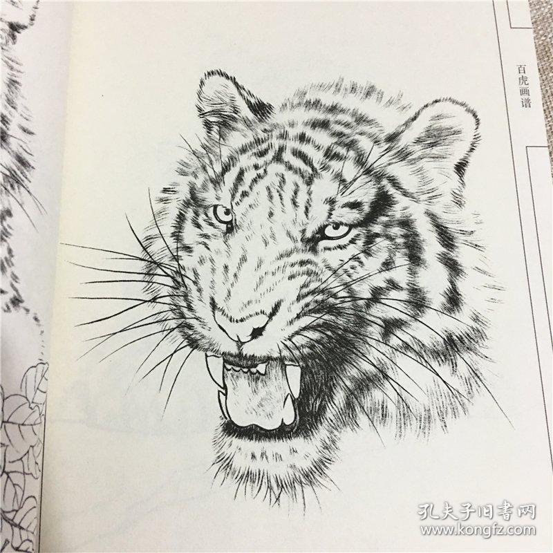 中国画线描白描画谱全套34本百鱼百龙百虎四大名著百仙花工笔白描