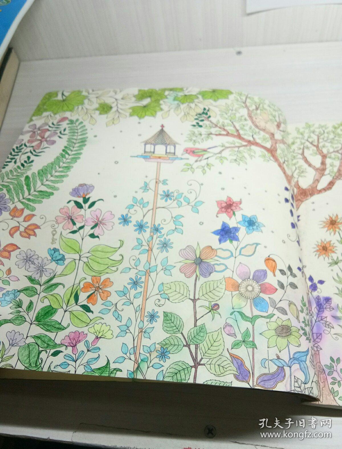 秘密花园:一本探索奇境的手绘涂色书