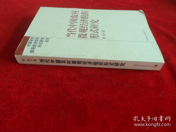 [中国农村微观经济组织形式研究系列:当代中国