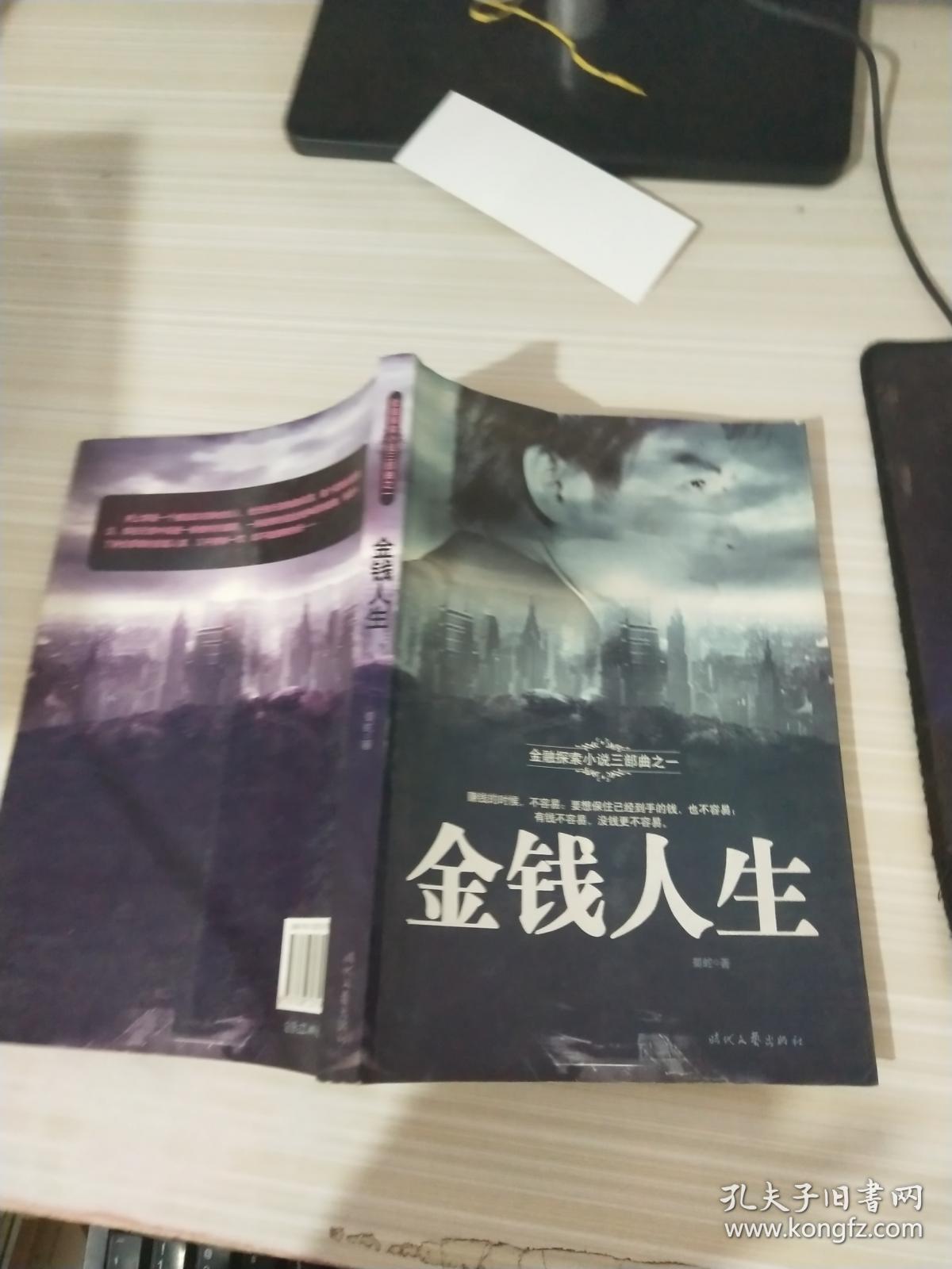 金融探索小说三部曲之一:金钱人生