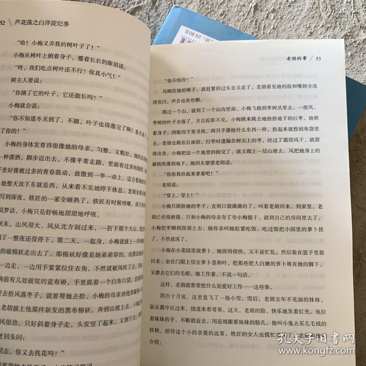 芦花荡之白洋淀纪事/孙犁文学作品集 部编版语文新教材七上推荐阅读