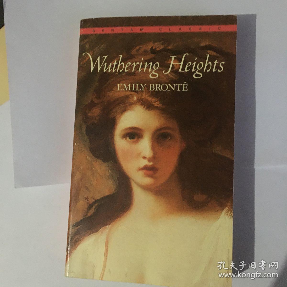 emilybronte简介,emilybronte wuthering heights 呼啸山庄 一版一印_emily bronte
