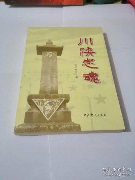 川陕忠魂——记红四方面军总医院暨川陕革命根据地红军烈士陵园