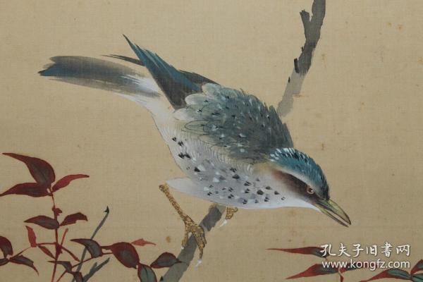 日本 著名画家 绿雨 工笔花鸟图