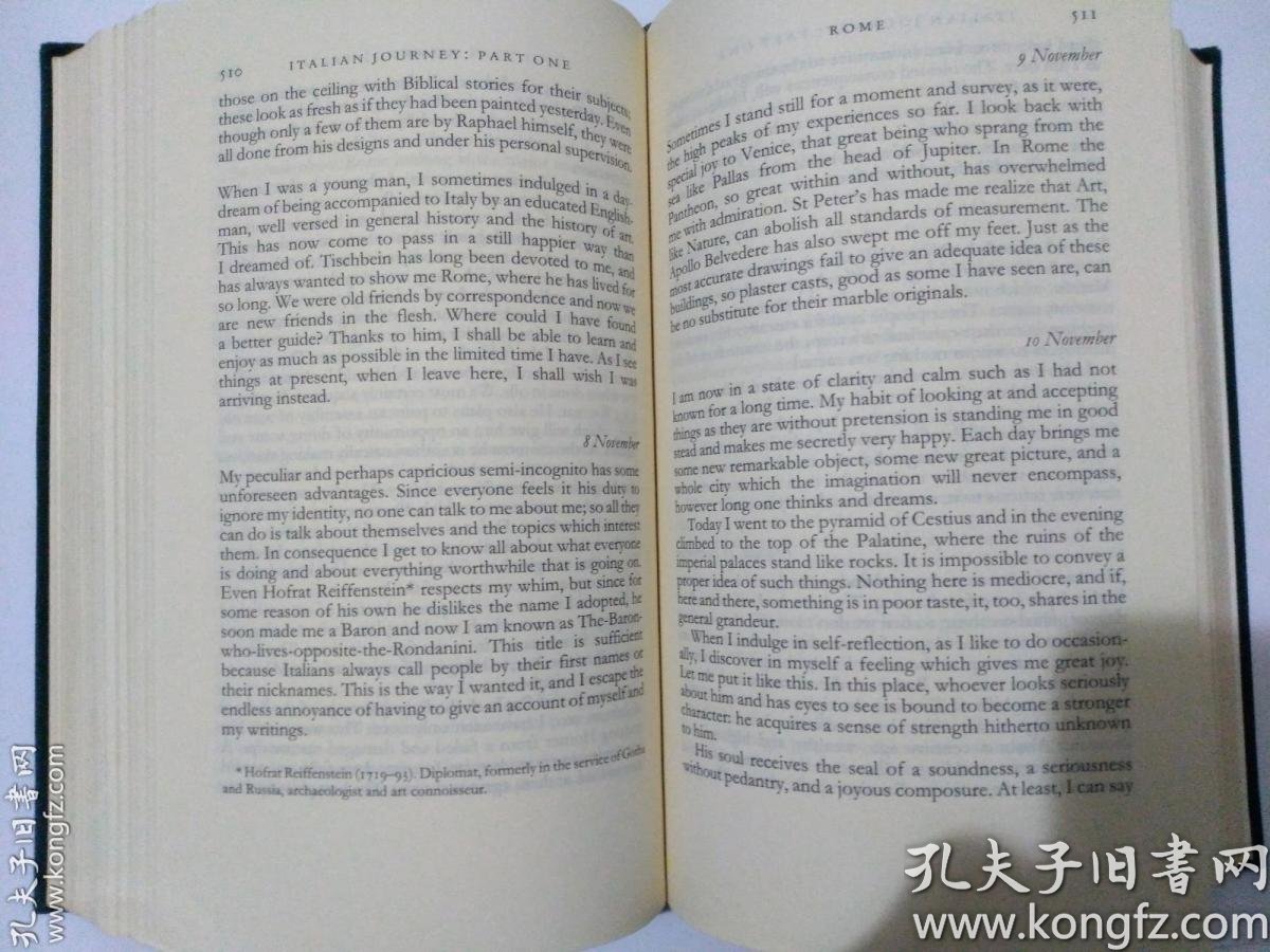 goethe: the sorrows of young werther, elective affinities