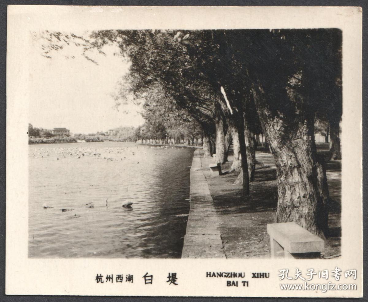 五十年代,杭州老照片20张一组,西湖周边风景老照片