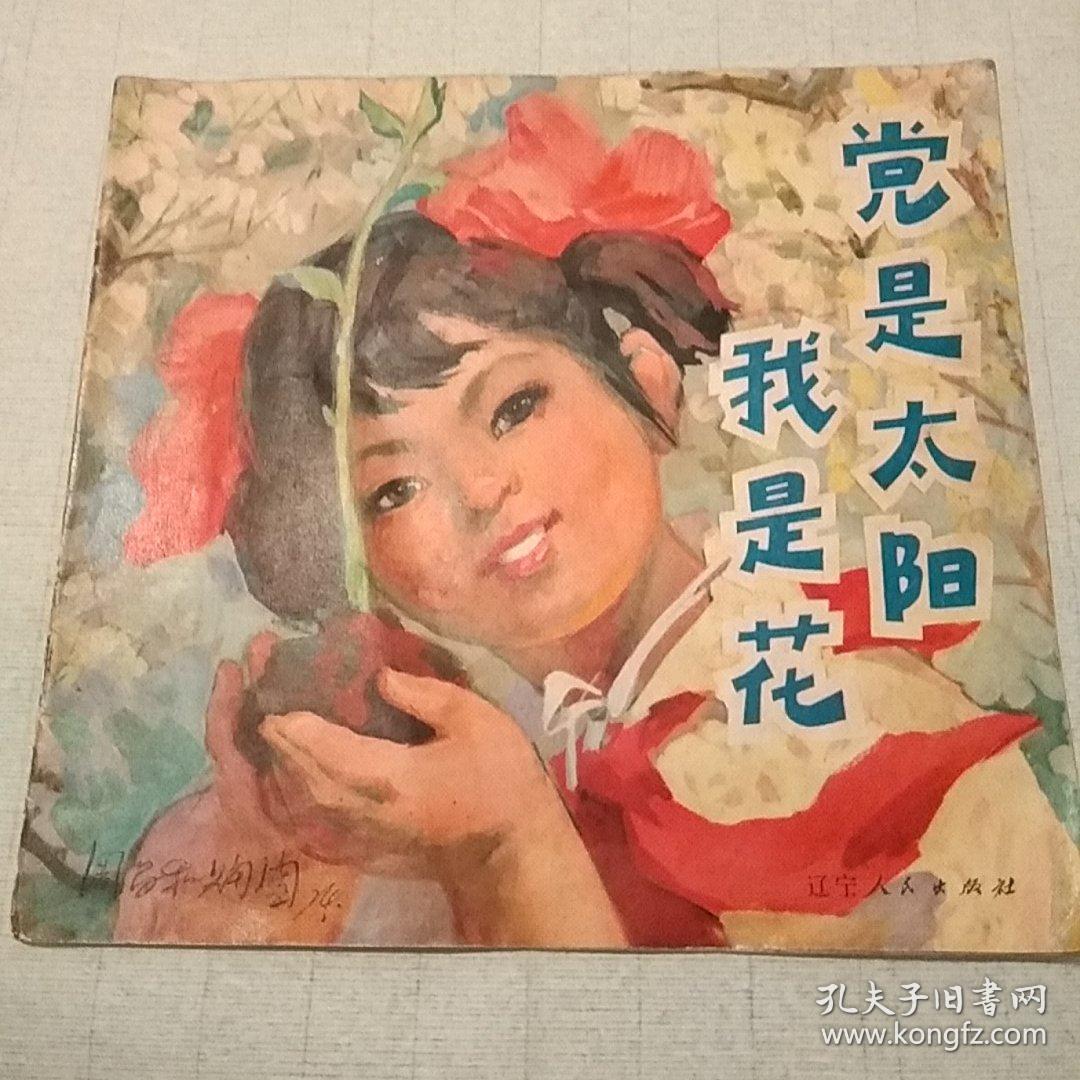 党是太阳我是花