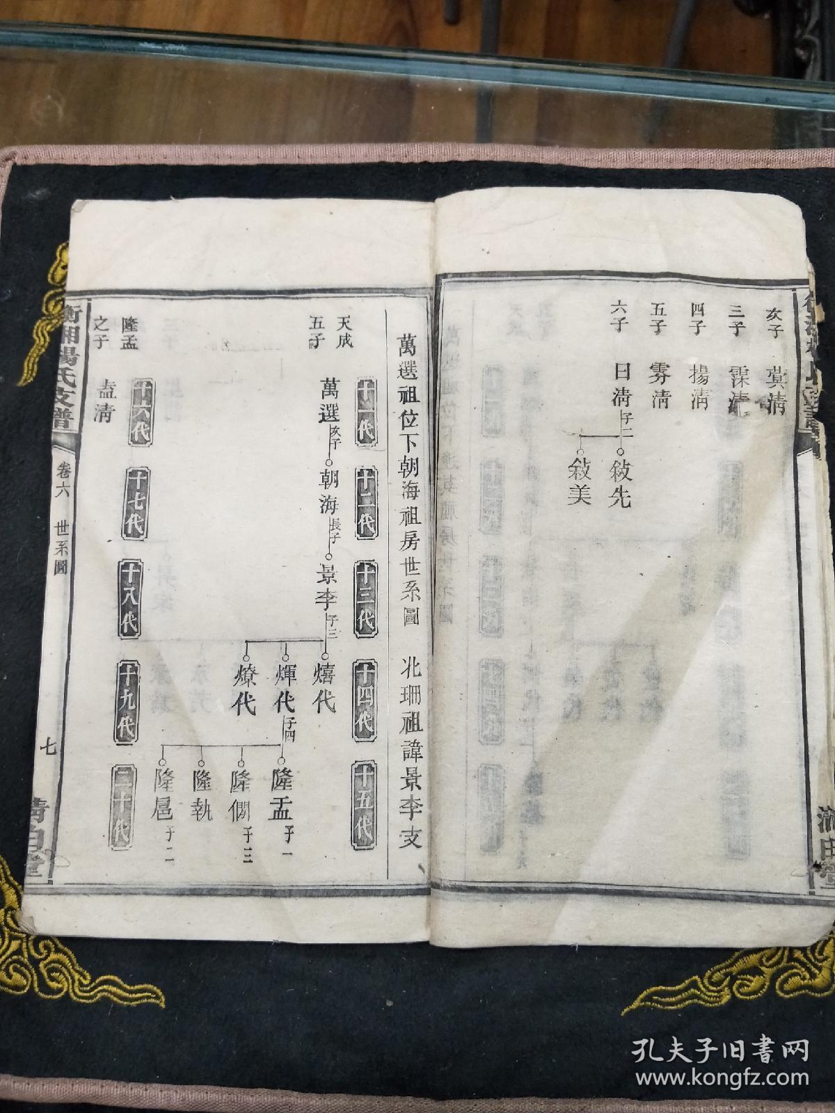 杨氏族谱