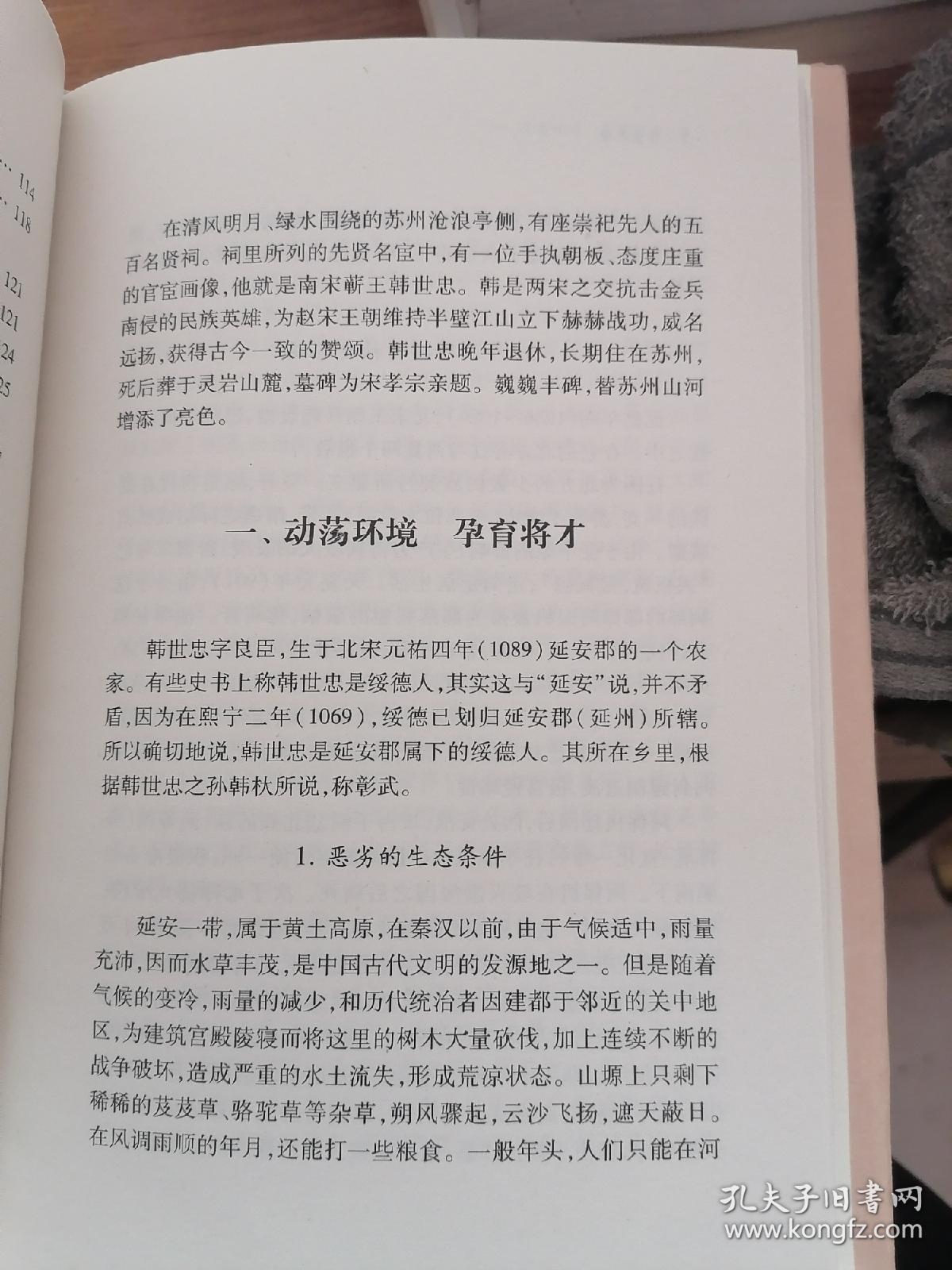 韩世忠传