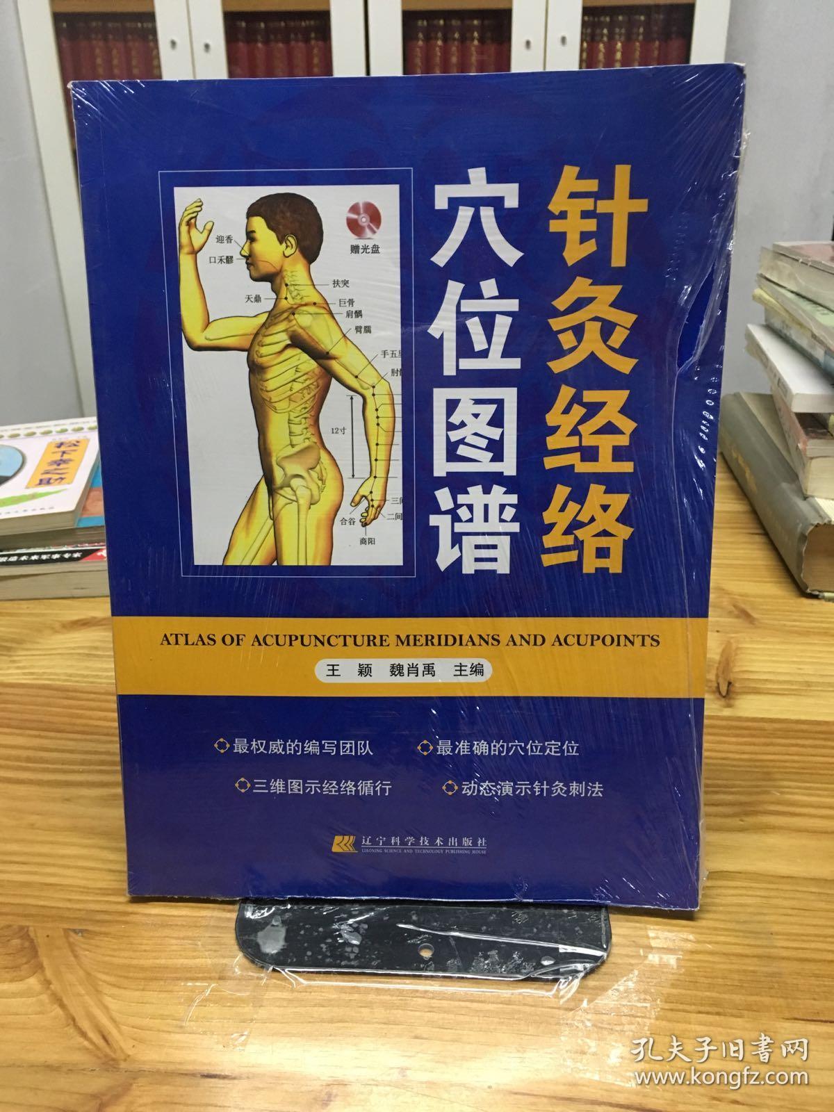 针灸经络穴位图谱