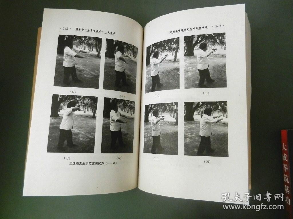 大成拳 禅拳合一的中国武术